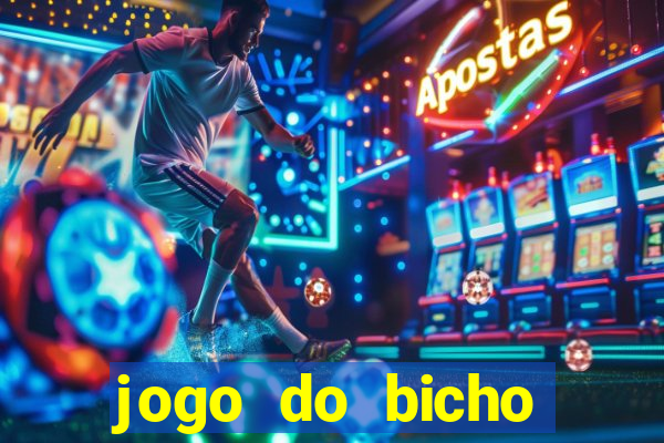 jogo do bicho crash bingo